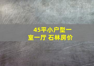 45平小户型一室一厅 石林房价